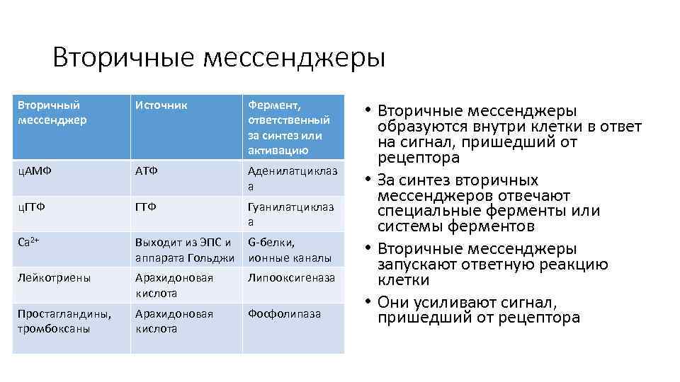 Вторичные мессенджеры Вторичный мессенджер Источник Фермент, ответственный за синтез или активацию ц. АМФ АТФ