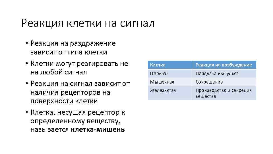 Реакция клетки на сигнал • Реакция на раздражение зависит от типа клетки • Клетки