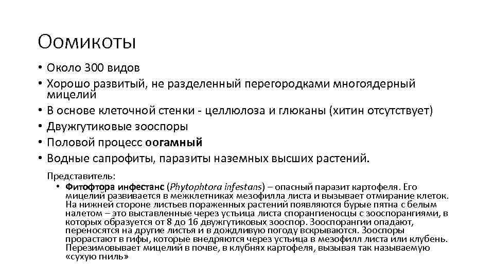 Оомикоты • Около 300 видов • Хорошо развитый, не разделенный перегородками многоядерный мицелий •