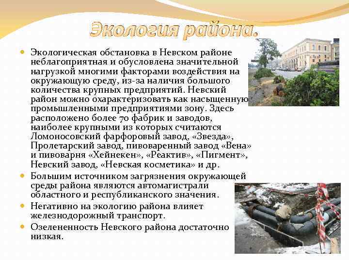 Экология района. Экологическая обстановка в Невском районе неблагоприятная и обусловлена значительной нагрузкой многими факторами