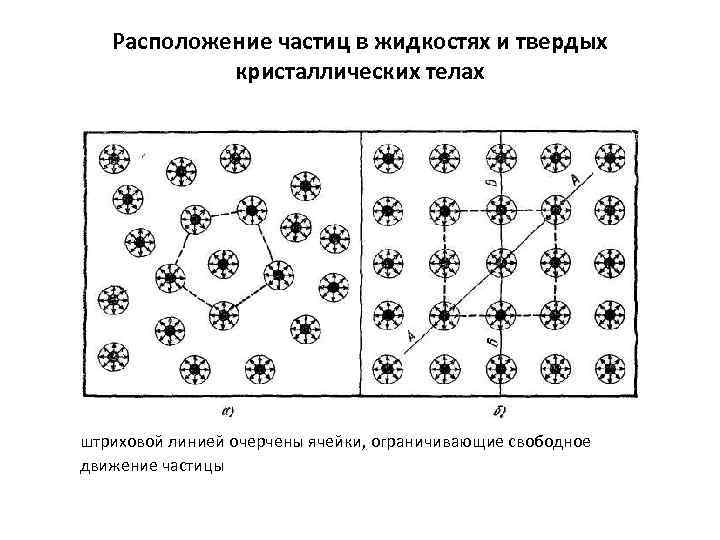 Расположение частиц в жидкостях и твердых кристаллических телах штриховой линией очерчены ячейки, ограничивающие свободное