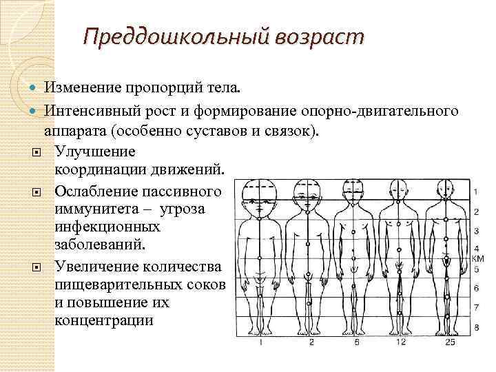 Изменяемой возраст. Возрастные особенности опорно-двигательного аппарата человека. Возрастные изменения опорно-двигательного аппарата таблица. Возрастные изменения детей. Возрастные периоды формирования опорно-двигательного аппарата.