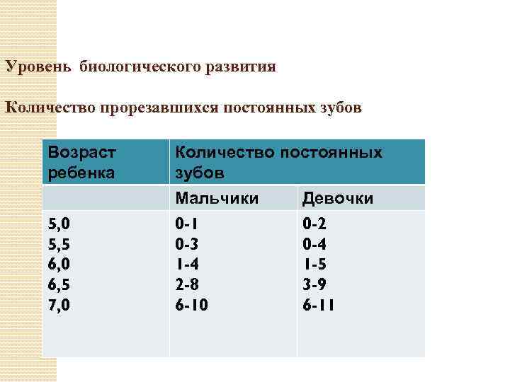 Уровень биологического развития Количество прорезавшихся постоянных зубов Возраст ребенка Количество постоянных зубов 5, 0