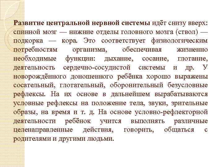 Развитие центральной нервной системы идёт снизу вверх: спинной мозг — нижние отделы головного мозга