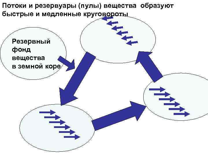 Потоки и резервуары (пулы) вещества образуют быстрые и медленные круговороты Резервный фонд вещества в