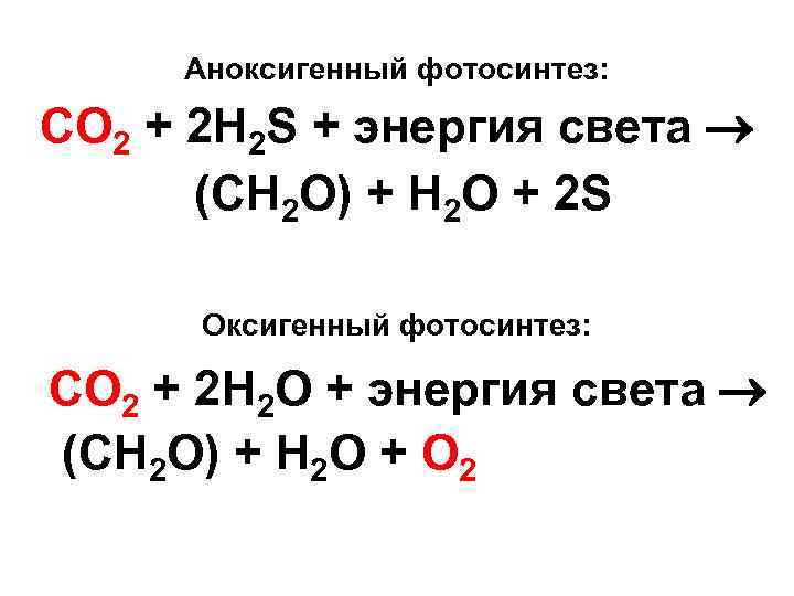 Аноксигенный фотосинтез: CO 2 + 2 H 2 S + энергия света (CH 2