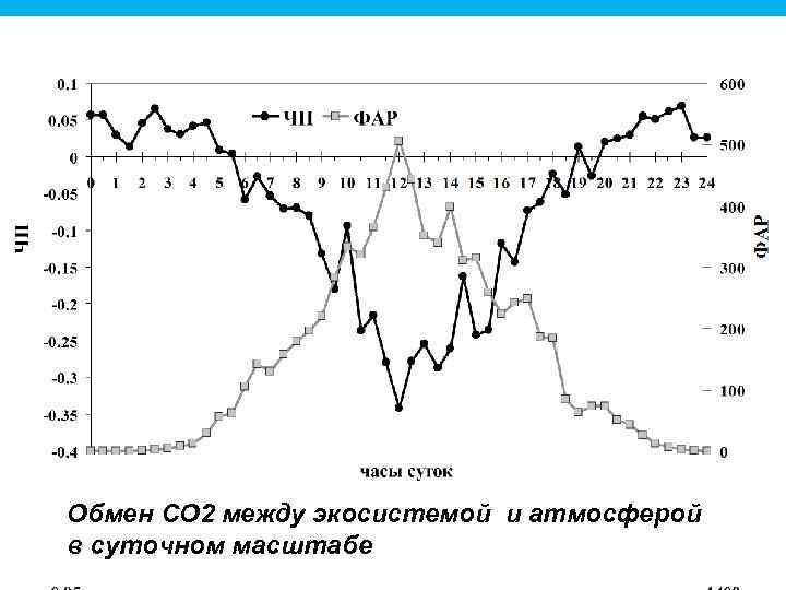 Обмен СО 2 между экосистемой и атмосферой в суточном масштабе 