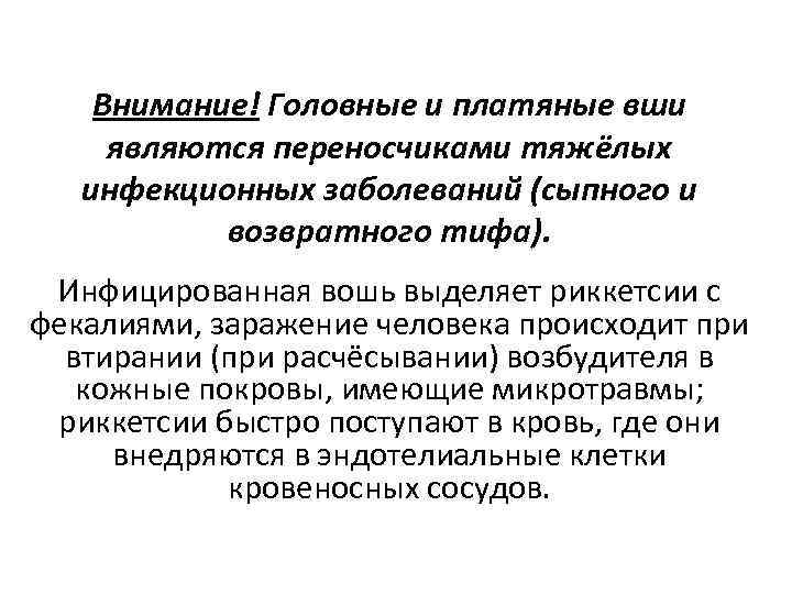 Внимание! Головные и платяные вши являются переносчиками тяжёлых инфекционных заболеваний (сыпного и возвратного тифа).