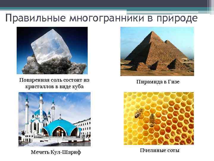 Презентация многогранники в биологии