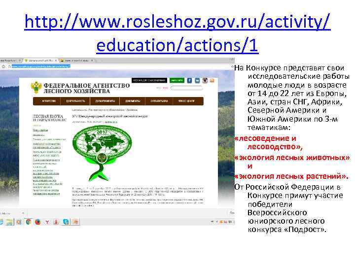 http: //www. rosleshoz. gov. ru/activity/ education/actions/1 На Конкурсе представят свои исследовательские работы молодые люди