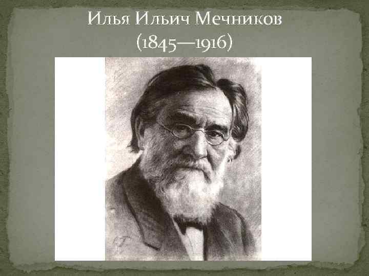 Илья Ильич Мечников (1845— 1916) 