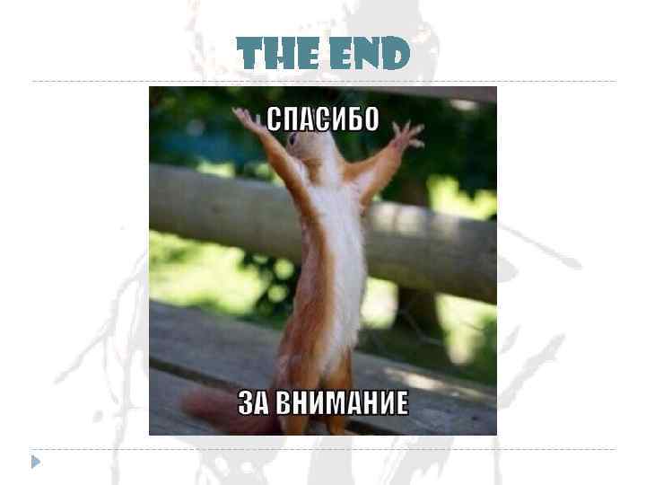 THE END 