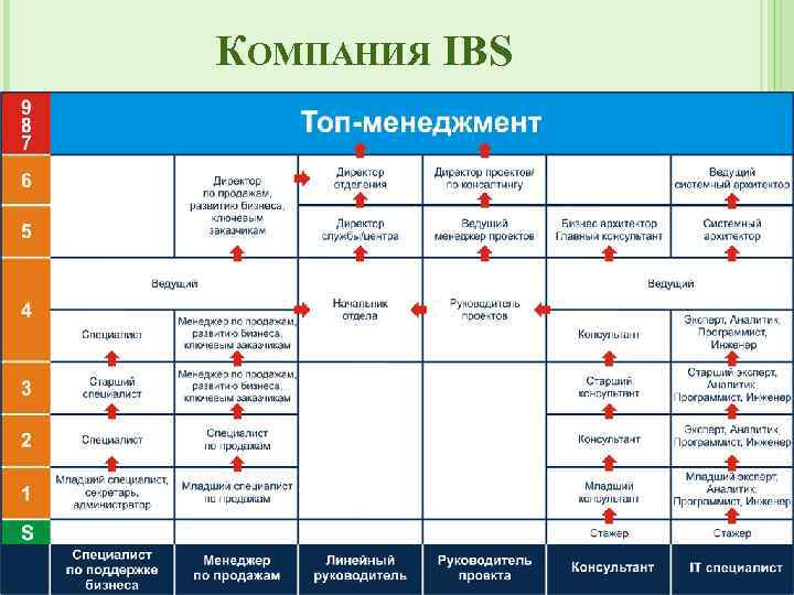 КОМПАНИЯ IBS 