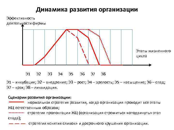 Динамика развития организации Эффективность деятельности фирмы Этапы жизненного цикла Э 1 Э 2 Э