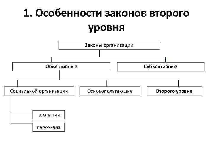 Виды законов организации