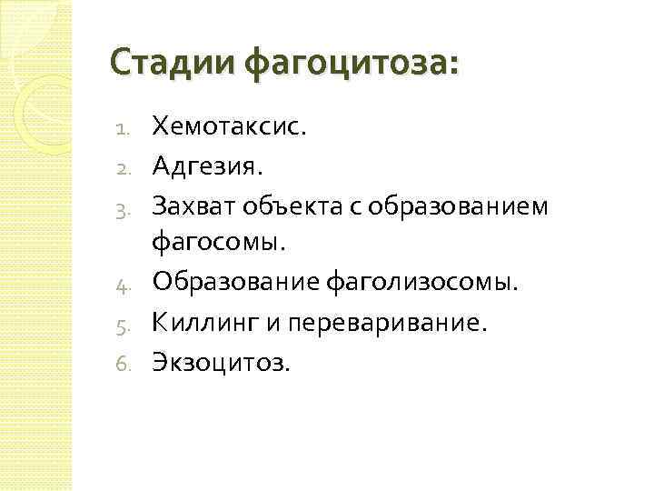 Стадии фагоцитоза: 1. 2. 3. 4. 5. 6. Хемотаксис. Адгезия. Захват объекта с образованием