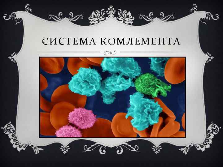 СИСТЕМА КОМЛЕМЕНТА 