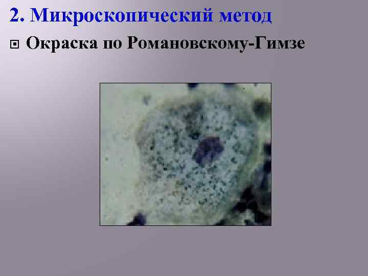 2. Микроскопический метод Окраска по Романовскому-Гимзе 