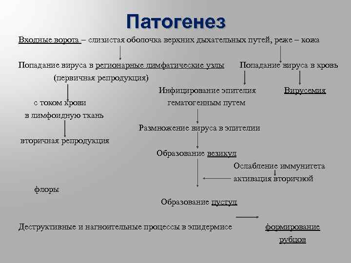 Патогенез Входные ворота – слизистая оболочка верхних дыхательных путей, реже – кожа Попадание вируса