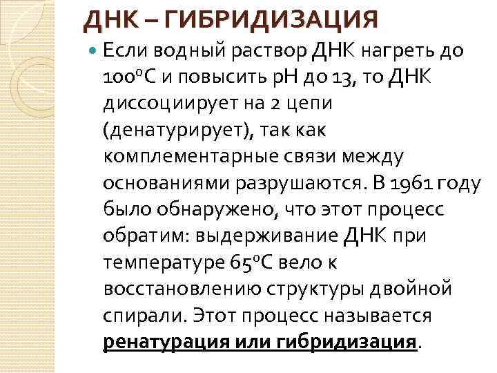 ДНК – ГИБРИДИЗАЦИЯ Если водный раствор ДНК нагреть до 100 о. С и повысить