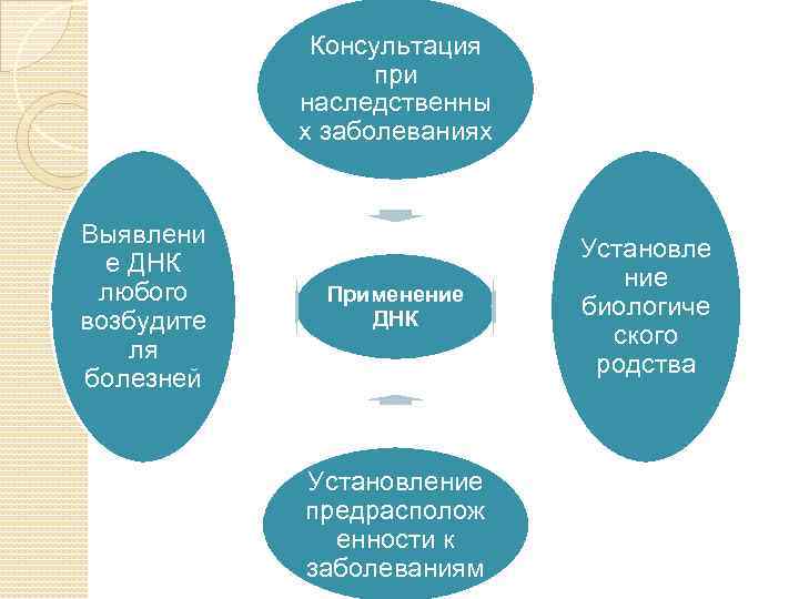 Консультация при наследственны х заболеваниях Выявлени е ДНК любого возбудите ля болезней Применение ДНК