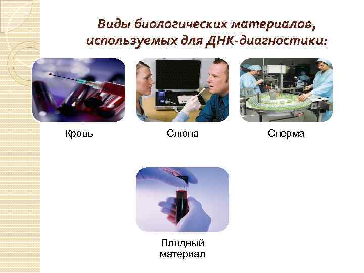 Виды биологических материалов, используемых для ДНК-диагностики: Кровь Слюна Плодный материал Сперма 