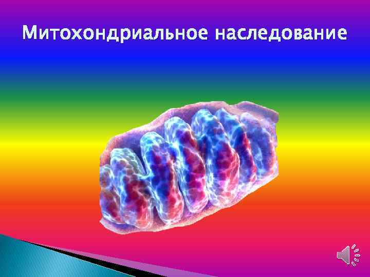 Митохондриальное наследование 