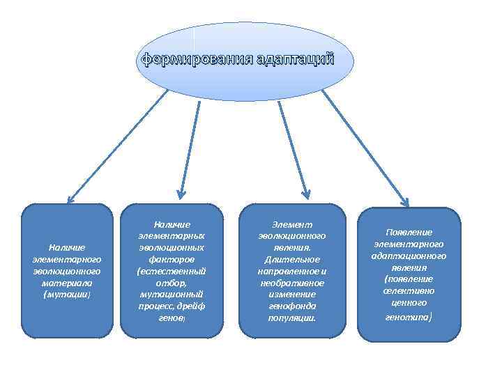 формирования адаптаций Наличие элементарного эволюционного материала (мутации) Наличие элементарных эволюционных факторов (естественный отбор, мутационный