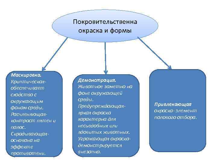 Покровительственна окраска и формы Маскировка. Криптическаяобеспечивает сходство с окружающим фоном среды. Расчленяющаяконтраст пятен и