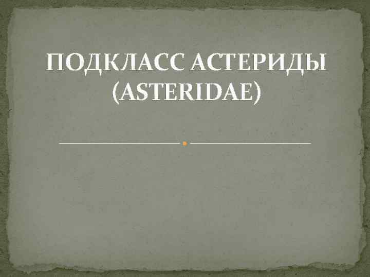 ПОДКЛАСС АСТЕРИДЫ (ASTERIDAE) 