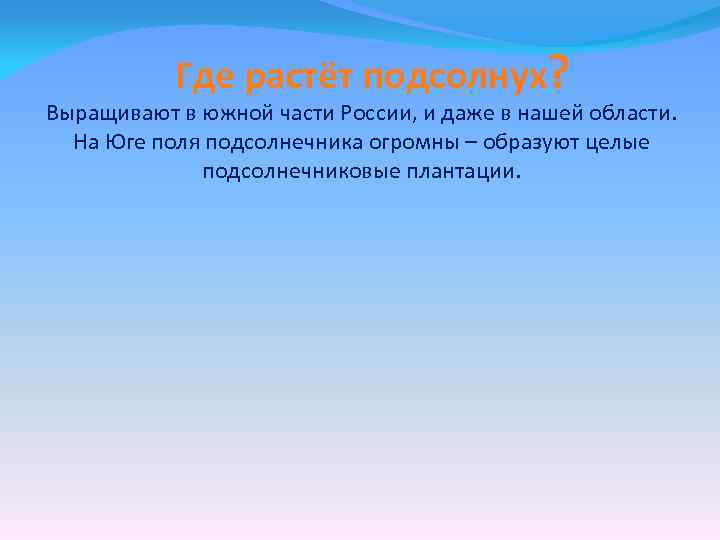 Где растёт подсолнух? Выращивают в южной части России, и даже в нашей области. На