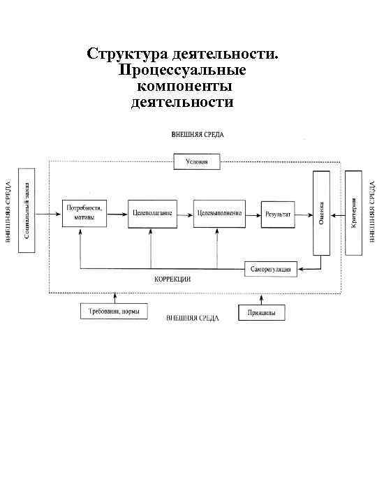 Структура деятельности. Процессуальные компоненты деятельности 