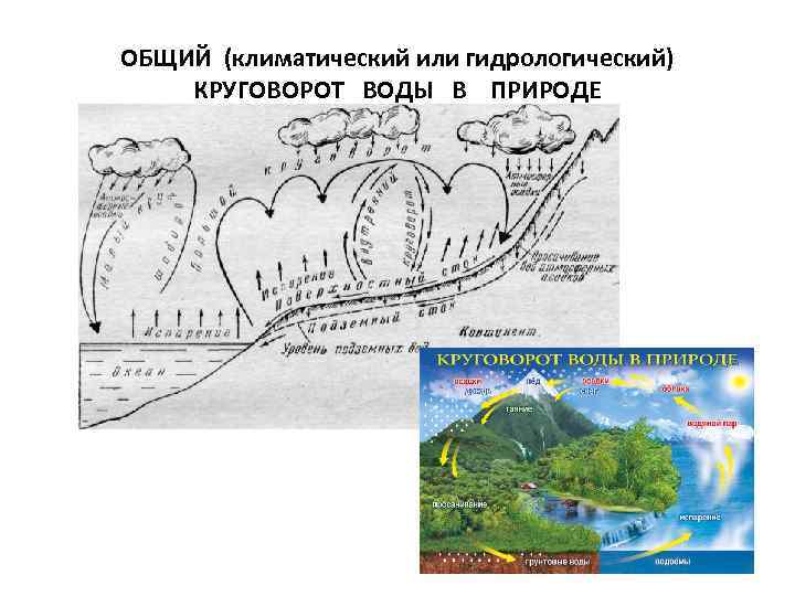 ОБЩИЙ (климатический или гидрологический) КРУГОВОРОТ ВОДЫ В ПРИРОДЕ 32 