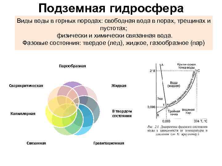 Подземная гидросфера Виды воды в горных породах: свободная вода в порах, трещинах и пустотах;
