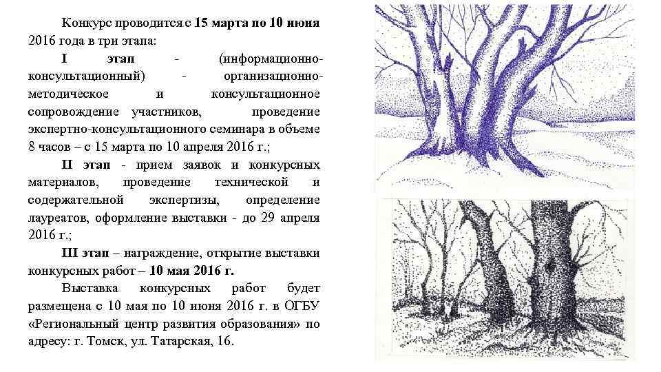 Конкурс проводится с 15 марта по 10 июня 2016 года в три этапа: I