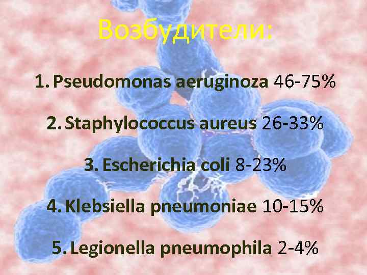 Возбудители: 1. Pseudomonas aeruginoza 46 -75% 2. Staphylococcus aureus 26 -33% 3. Escherichia coli