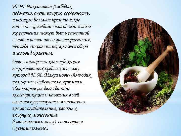 Н. М. Максимович-Амбодик подметил очень важную особенность, имеющую большое практическое значение: целебная сила одного