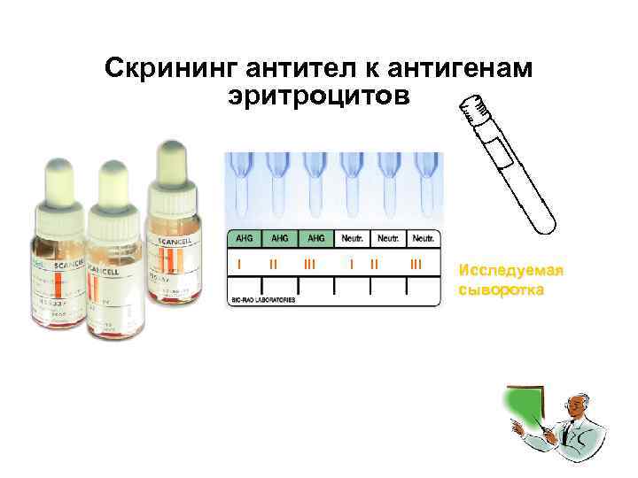 Скрининг антител к антигенам эритроцитов I II III Исследуемая сыворотка 