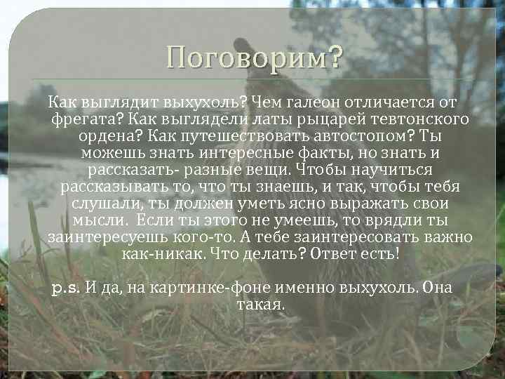 Поговорим? Как выглядит выхухоль? Чем галеон отличается от фрегата? Как выглядели латы рыцарей тевтонского