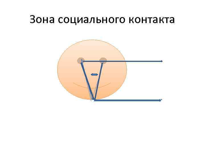 Зона социального контакта 
