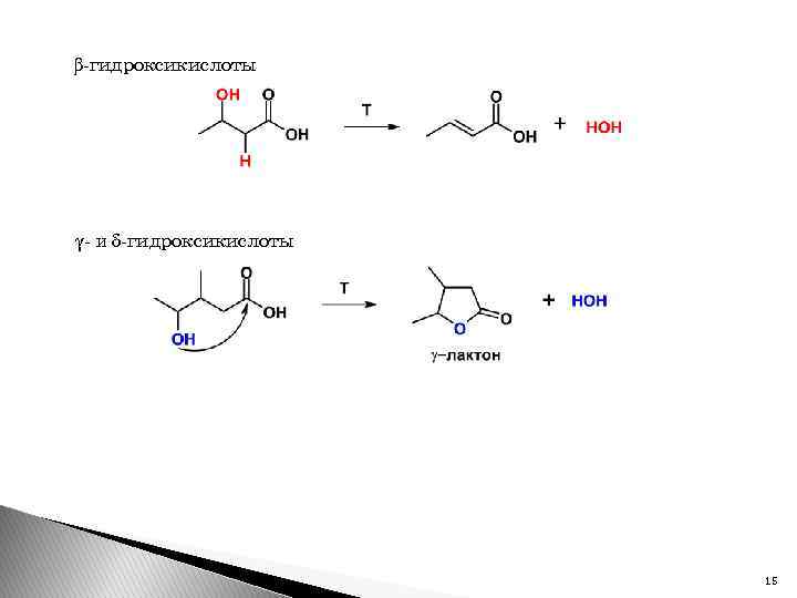 β-гидроксикислоты γ- и δ-гидроксикислоты 15 
