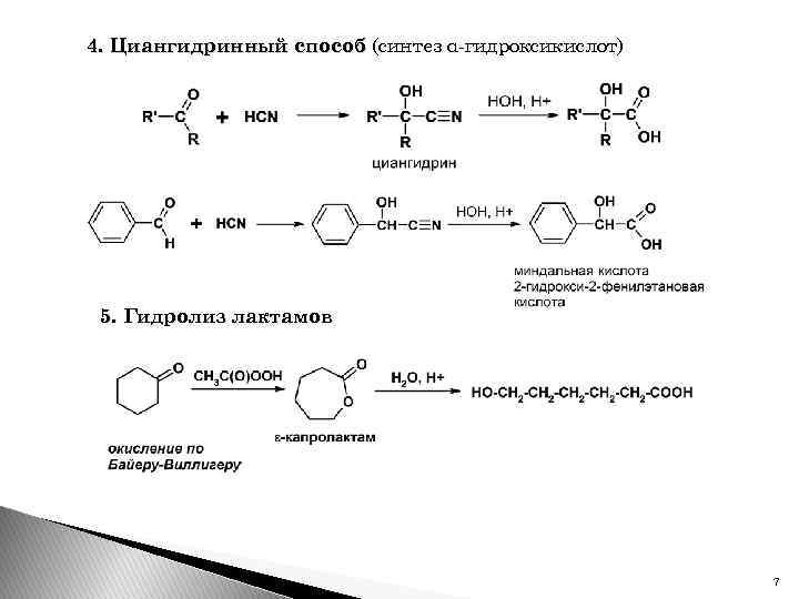 4. Циангидринный способ (синтез α-гидроксикислот) 5. Гидролиз лактамов 7 