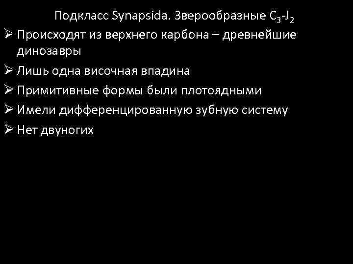 Подкласс Synapsida. Зверообразные C 3 -J 2 Ø Происходят из верхнего карбона – древнейшие