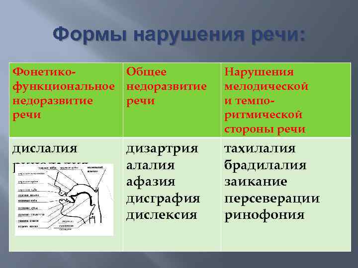 Формы нарушения речи: Фонетико. Общее функциональное недоразвитие речи Нарушения мелодической и темпоритмической стороны речи