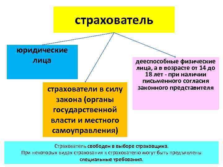 1 страхователь