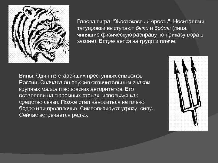 Голова тигра. "Жестокость и ярость". Носителями татуировки выступают быки и бойцы (лица, чинящие физическую