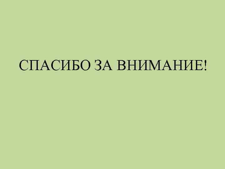 СПАСИБО ЗА ВНИМАНИЕ! 