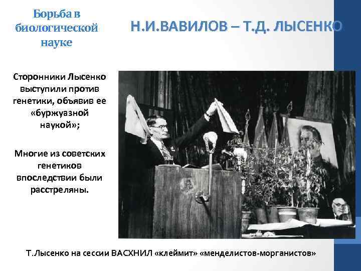 Борьба в биологической науке Н. И. ВАВИЛОВ – Т. Д. ЛЫСЕНКО Сторонники Лысенко выступили