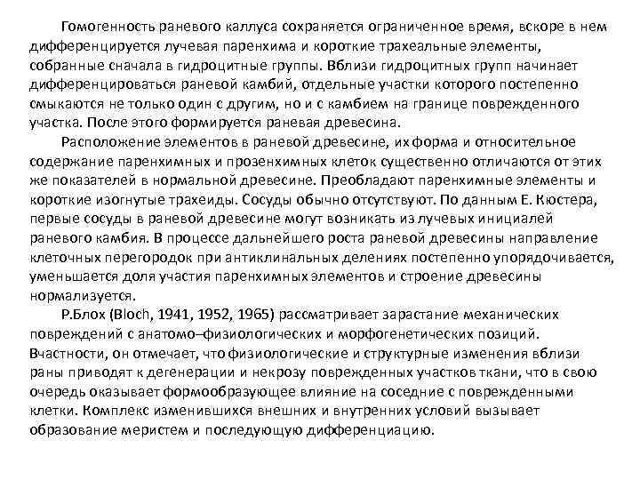 Гомогенность раневого каллуса сохраняется ограниченное время, вскоре в нем дифференцируется лучевая паренхима и короткие
