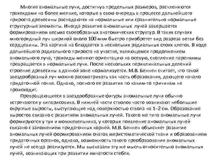 Многие аномальные лучи, достигнув предельных размеров, расчленяются трахеидами на более мелкие, которые в свою